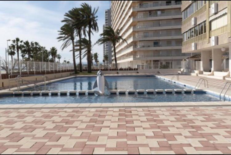1A Linea Con Piscina Nuevo Lejlighed Cullera Eksteriør billede